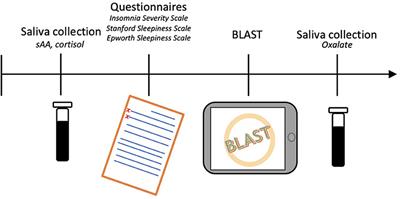 Interest of the BLAST paradigm and salivary markers for the evaluation of sleepiness in drivers